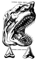 Ilustración de Steno comparando los dientes de una cabeza de tiburón con un diente fósil ...