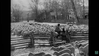 Ford realizó el film The Iron Horse en 1924