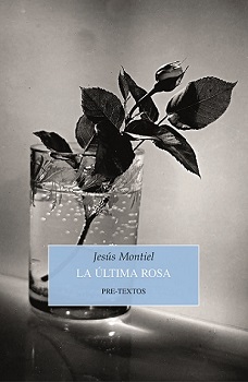 Sobre la belleza de lo cotidiano
