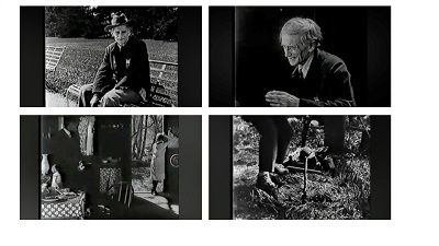 fotogramas de Lightnin’ (Don Pancho, 1925)